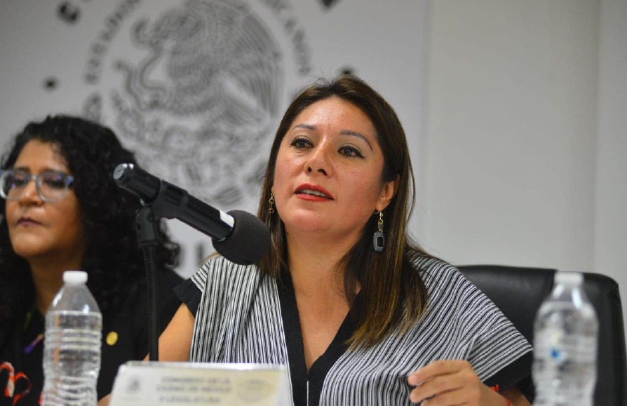 Diputada Xochitl Bravo